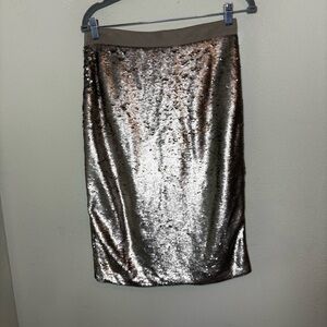 Banana Republic Matt Silver Sequin Pencil Midi Skirt Size 6
